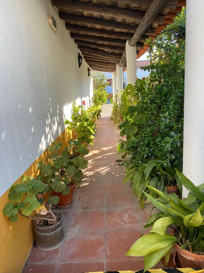 Casa De Sao Cucufate - Casa De Campo Vila de Frades Eksteriør billede
